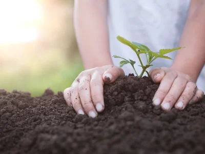 Sustainability in Business & Engineering